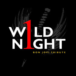 1 Wild Night Band